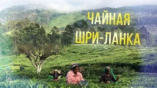 ШРИ-ЛАНКА. Чайная фабрика на Шри-Ланке. Чайные плантации и водопад Рамбода