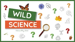 Wild Nature Science Experiments for Kids