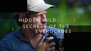 Nat Geo Live: Hidden Secrets of the Everglades at The Broad Stage!