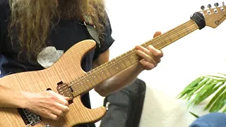 Guthrie Govan live 2019 full HD