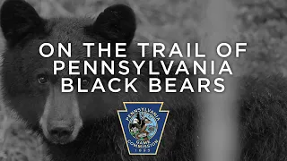 On The Trail of Pennsylvania Black Bears (1991)