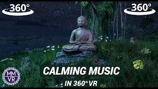 Relaxing Zen music in 360 VR | Tree of Awakening - Meditation music for Oculus Quest