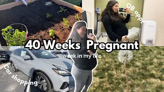 40 WEEK PREGNANCY UPDATE | going past my due date, spring gardening, pregnant week in my life