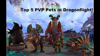 Top 5 PVP pets in Dragonflight