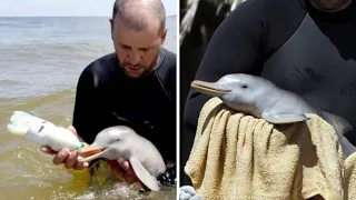 30 Times Animals Asked For Help & Kindness !