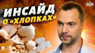 Инсайд от Арестовича! "Хлопки" в Энгельсе сорвали масштабную ракетную атаку - подробности