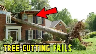 EXTREME Dangerous Tree Fails Compilation 2019, Tree Falling in House, Tree Falling Into Cars