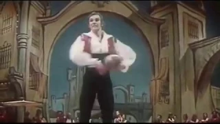 Vladimir Vasiliev - Basil Variation I Act - Don Quixote