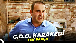 G.D.O. Karakedi | Şafak Sezer Eski Türk Filmi Full İzle (4K)