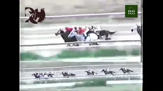 Nro 7 Angel Alciro Castillo y muchas de sus mejores victorias Hipodromo La Rinconada.