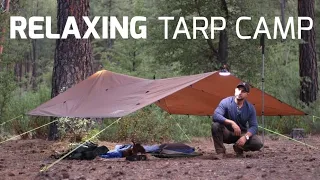 Solo Camping with Tarp | Testing New Gear | Relaxing, Camping ASMR