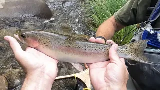 SUMMER FISHING IN THE CATSKILLS 2023