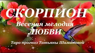 СКОРПИОН.  ЛЮБОВЬ.  Таро прогноз на МАРТ, АПРЕЛЬ, МАЙ 2019 года.