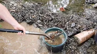 Gold mining on the creek Part 4: Same spot, more gold?