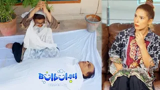 Bulbulay Season 2 Episode 211 | Ayesha Omar & Nabeel