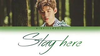 Gaho (가호) – Stay Here(있어줘) 🎵 LYRICS [Color Coded/HAN/ROM/ENG]