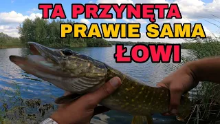 Co to za przynęta?! Prawie sama ŁOWI SZCZUPAKI !!