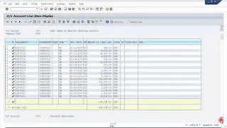 SAP GL Account Line Item Display (Account Ledger)