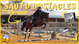 [COURS] Saut d'obstacles et chevaux surexcités ! 27/03/21 - CS'o Landreau