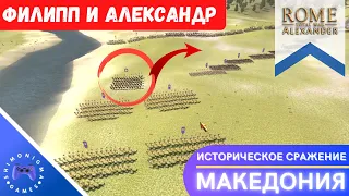 БИТВА ПРИ ХЕРОНЕЕ (338 до н. э.) — Rome Total War Alexander