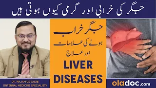 Jigar Ke Amraz Ka Ilaj - Liver Disease Treatment In Urdu - Fatty Liver - Liver Ki Kharab Ki Wajah