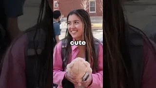 Harvard Student Gives Teddy Bear to Stranger! #shorts