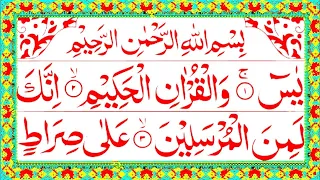 Surah Yaseen | Yasin Sharif | Surah Yaseen With Arabic HD text | Surah Yaseen