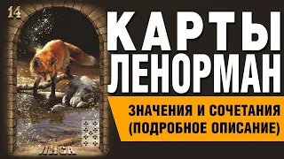 Карты Ленорман. Карта Лиса (14). Значения и сочетания карт.