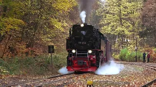 99 234 erschüttert den Harz! //Ausfahrt Steinerne Renne //Harzer Schmalspurbahn//99 234