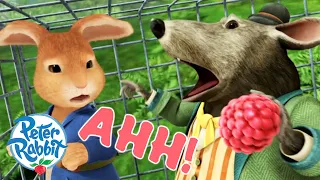 ​@OfficialPeterRabbit - Locked in a Cage! 🔒 | Cartoons for Kids