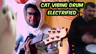 Cat Vibing To Ievan Polkka Electric Guitar Viral Video || Bilal Göregen Metal Cover Riff Solo