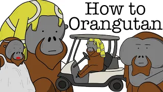 Your Life as an Orangutan