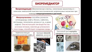 Микробиолог, профессия будущего