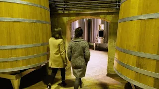 One minute tour: Château Angélus, Saint-Emilion, Bordeaux