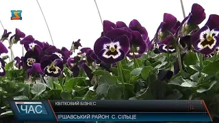 На Іршавщині селяни вирощують квіти на продаж