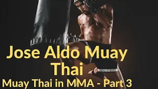 Jose Aldo Muay Thai