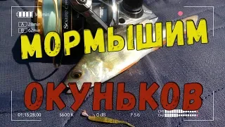 Мормышим окуньков на карьере