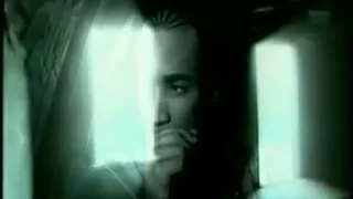 Don Omar  - Se Fue El Amor