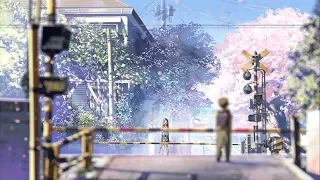 5 Centimeters Per Second AMV | Charlie Puth We Don't Talk Anymore (ft. Selena Gomez)
