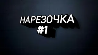 Неоновые нарезки...Животные