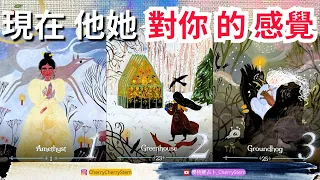 🍒 💝現在, 他她 對你的感覺 & 想法｜他她 喜歡你嗎？有多愛你？ ｜♥️ 有字幕 🟣無時間限制占卜 🟡  #塔羅 #占卜 #字卡 #tarot #oracle #愛情 #愛 #感情 #事業