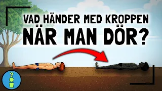 VAD HÄNDER MED KROPPEN NÄR MAN DÖR?