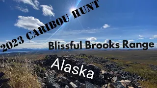 Brooks Range Caribou Hunt With Bliss 2023