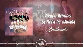 Grupo Bryndis Feat. La Fiera de Ojinaga - Bailando (2024)