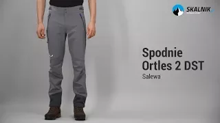 Spodnie Salewa Ortles 2 DST - skalnik.pl