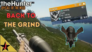 💥 The Fallow Deer Grind💥  The hunter Call of the wild