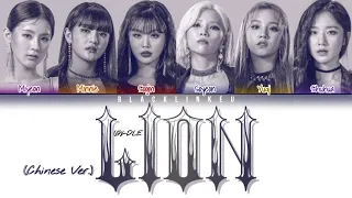 (G)I-DLE - 'LION (Chinese Ver.)' (Color Coded Lyrics Man/Pin/Eng)