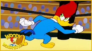 Woody Woodpecker Show | The Contender | 1 Hour Compilation | Videos For Kids