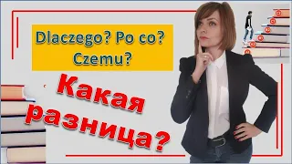 Какая разница между Dlaczego? Czemu? Po co? Учим польский язык бесплатно