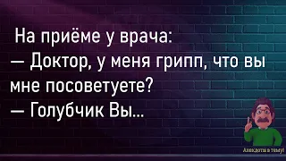 💁‍♂️Гаишник Говорит Блондинке...Большой Сборник Смешных Анекдотов,Для Супер Настроения!